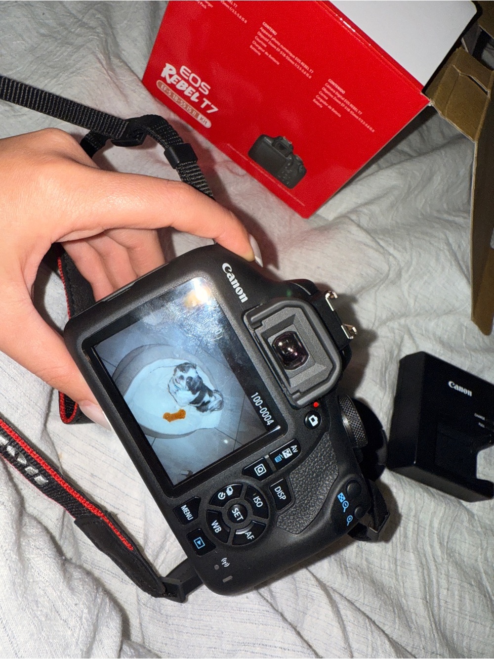 Canon DSLR Camera in Black with Red Strap Accent